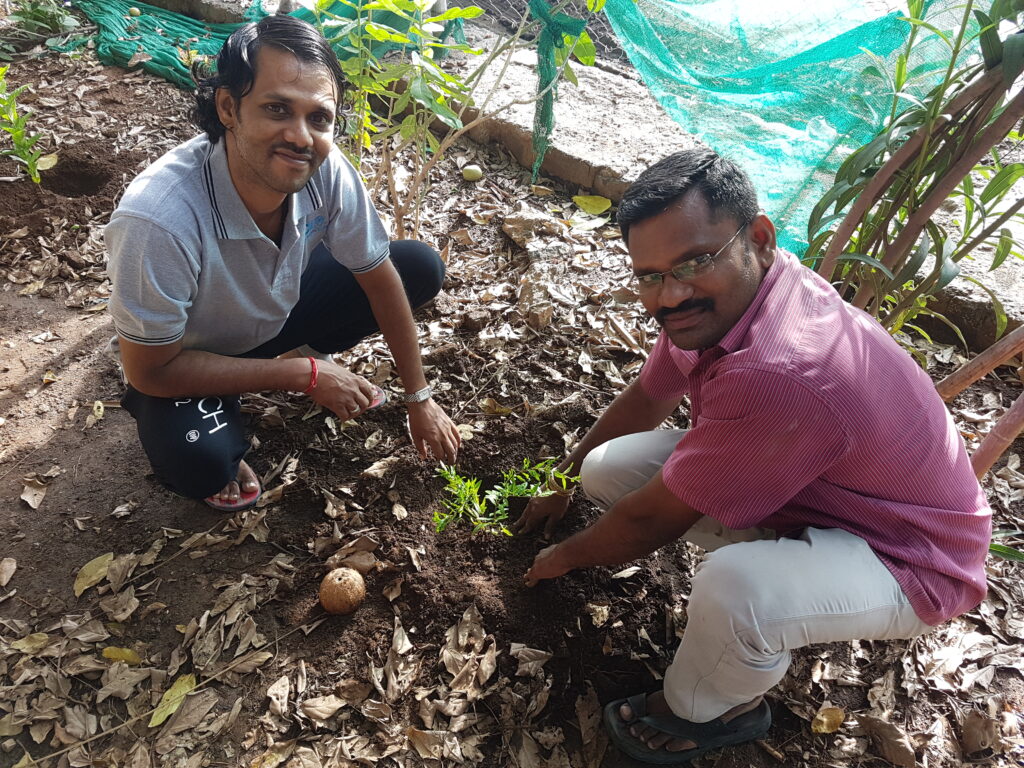 Aram Foundation Tree Plantation